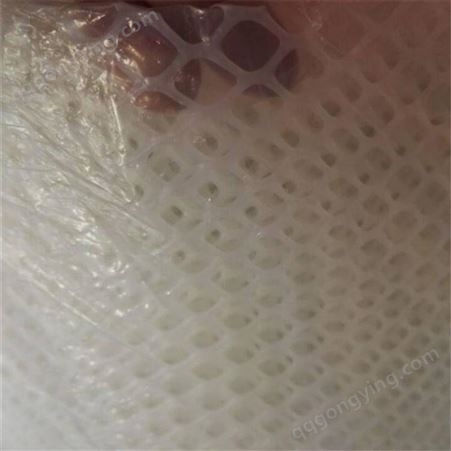 2米高白色塑料平网塑料养鸡网 养鹅塑料漏粪网