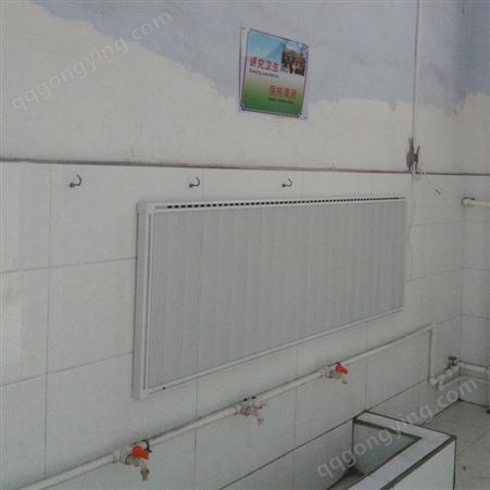碳纤维电暖器_学校电暖器_直热式电暖器_壁挂取暖器厂家