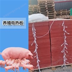 猪舍仔猪碳纤维电热板 养殖设备生产厂家 千惠电热板