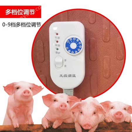 猪舍仔猪碳纤维电热板 养殖设备生产厂家 千惠电热板