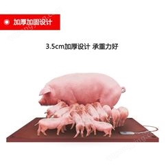 厂家批发-千惠-规格可选 猪仔电热板 碳纤维电热板
