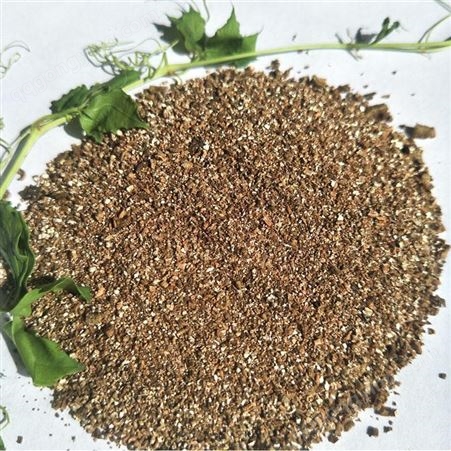 蛭石 扦插园艺土 养花发根 育苗大颗粒多肉营养土
