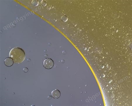 便携水中油监测仪荧光检测不需萃取液 快速出结果