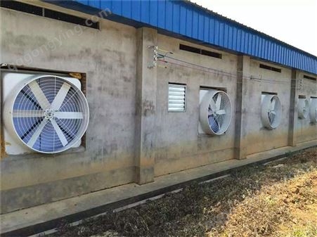 猪场降温设备厂家 养殖大棚换气扇