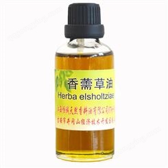 供应香薷草油 植物精油 香料油