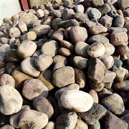 鹅卵石 鹅卵石卖 供应鹅卵石