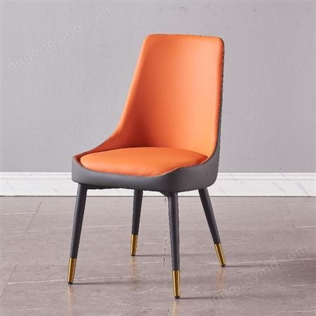 鼎富现代简约桌椅 创意网红轻奢椅 餐椅家用凳子靠背北欧椅DF212