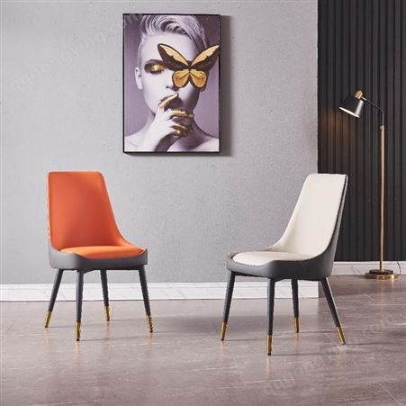 鼎富现代简约桌椅 创意网红轻奢椅 餐椅家用凳子靠背北欧椅DF212