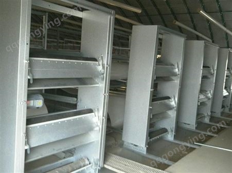 养鸡笼具生产组装 鸡笼生产厂家 山东天汇泰达