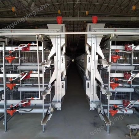 养鸡笼具生产组装 鸡笼生产厂家 山东天汇泰达