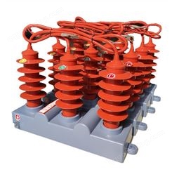 过电压保护器ZGPB 大能容防爆组合式过电压保护器