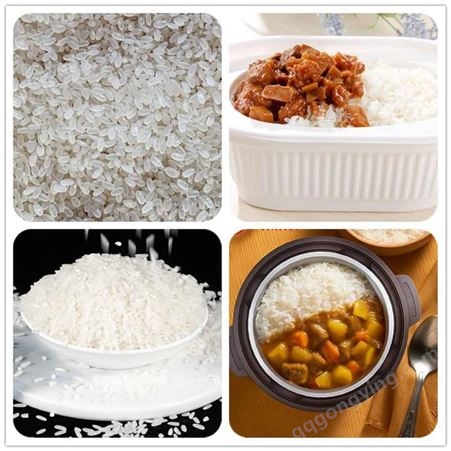 速食米饭 自热米饭生产设备 杂粮米生产设备 即食速食冲泡米生产线 双螺杆挤压膨化机