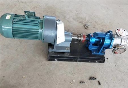 厂家供应NYP-80高粘度转子泵 皮带传动高粘度泵