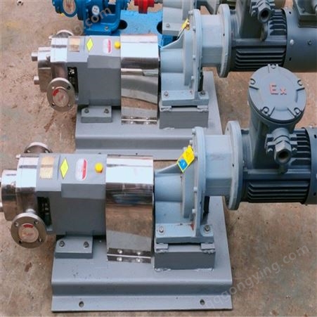 供应 上进下出转子泵 3RP凸轮转子泵  乘龙泵业 不锈钢转子泵