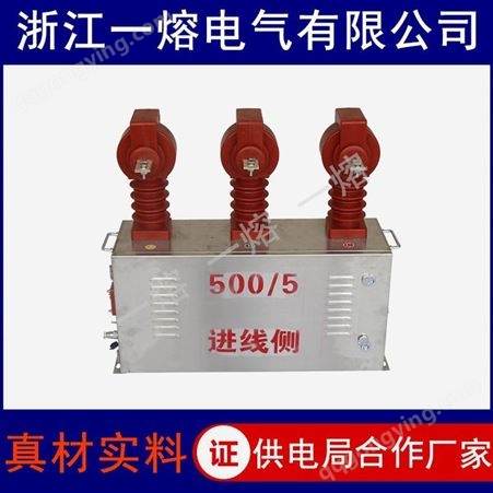 10KV高压电力干式计量箱JLSZW-10三相三线预付费组合互感器JLSZG 一熔