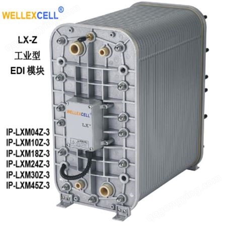 美国WELLEXCELL唯赛乐 连续电除盐膜块EDI模块LXM18Z2吨西门zi纯水膜堆