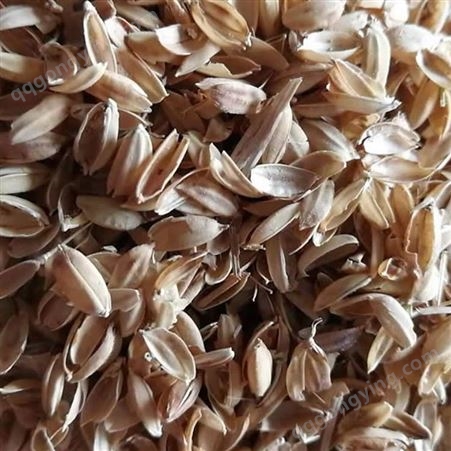 淄博市 栽培基质稻壳  散装稻壳 供应