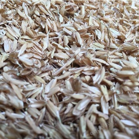 威海市 供应 新稻壳 散装袋装稻壳
