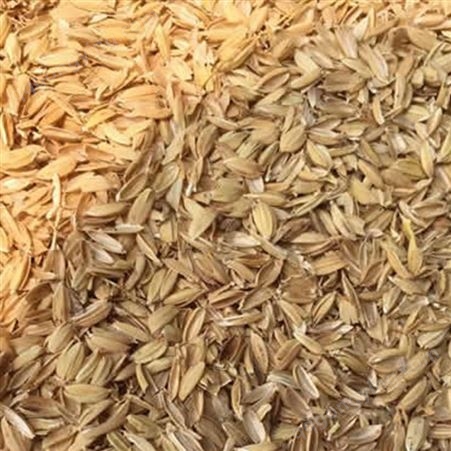 厂家供应 养殖垫料稻壳 除尘稻糠小米糠枕头填充