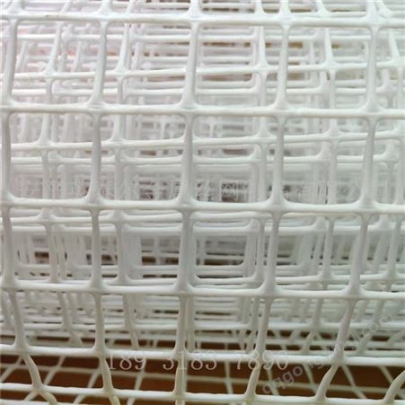 塑料方格晾晒网 塑料养殖围网 PP材质防蚊虫网