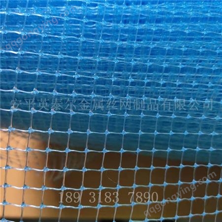 塑料方格晾晒网 塑料养殖围网 PP材质防蚊虫网