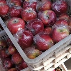 片红苹果 70-80红富士 脆甜多汁肉质细嫩 昊昌农产品
