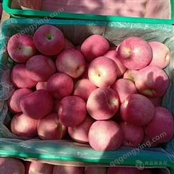 洛川红富士 红富士苹果价格表价格