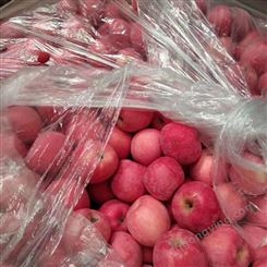 鲜生苹果果蔬购销 红富士苹果在冷库能保鲜多久