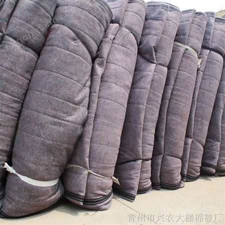 大棚棉被加工定做 冬季覆盖棚上保温效果好 防寒潮冻害 兴农