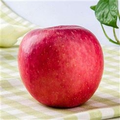 红富士苹果皮薄 今年冷库苹果价格走势分析