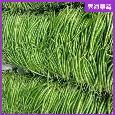 线椒极早熟 丰产耐热青红两用线椒 蔬菜种子公司