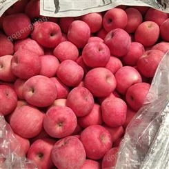 冰糖红富士苹果 红富士苹果冷库格一斤