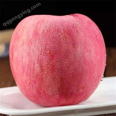 冷库苹果 80#一级红富士 健康带皮即食果皮鲜红光滑 昊昌农产品