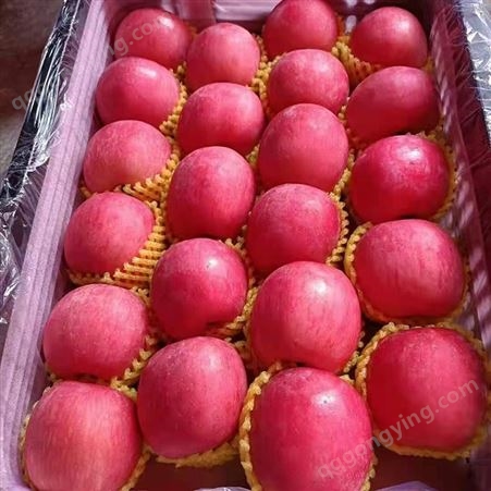 昊昌冰糖心红富士苹果 整箱6斤条纹全红红富士苹果 口感酥脆