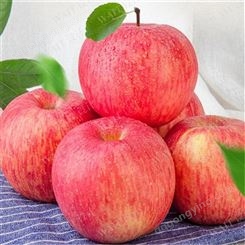 20120年栖霞红富士苹果价格 2020年苹果市场价格分析