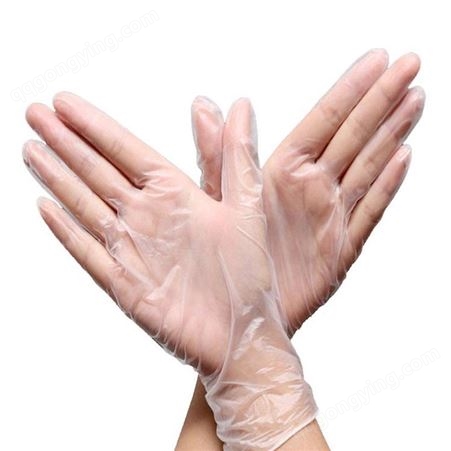 食品级系列 玉手一次性PVC手套 无粉贴合透明 山东手套工厂供应