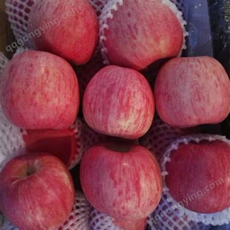 红星苹果 恒温库苹果 颜色深红水分足含丰富维生素 昊昌农产品