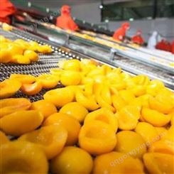 罐头食品 山东巨鑫源黄桃罐头 优质黄桃水果 厂家加工批发出口