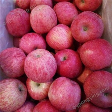20120年栖霞红富士苹果价格 2020年苹果市场价格分析