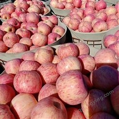 红富士苹果代购 红富士苹果75-80-90mm冷库苹果