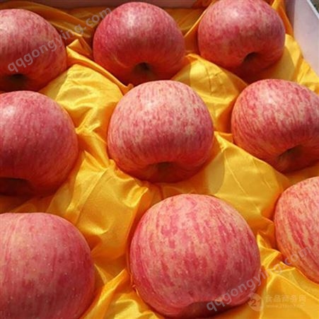皮薄肉厚的红富士 里有苹果冷库批发价格表