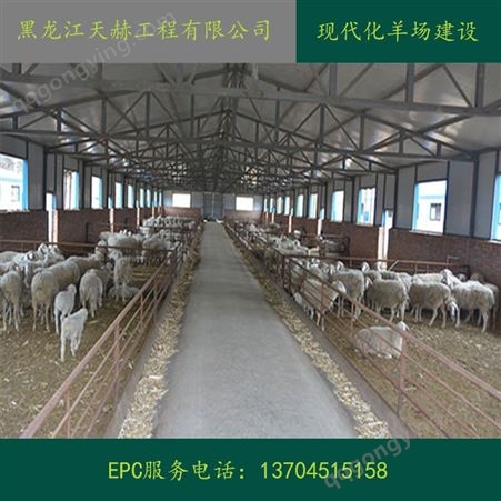 长春哈尔滨内蒙古钢结构现代化羊舍定制