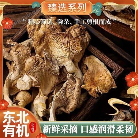 九鑫山珍特产蘑菇干货木耳猴头菇姬松茸200g