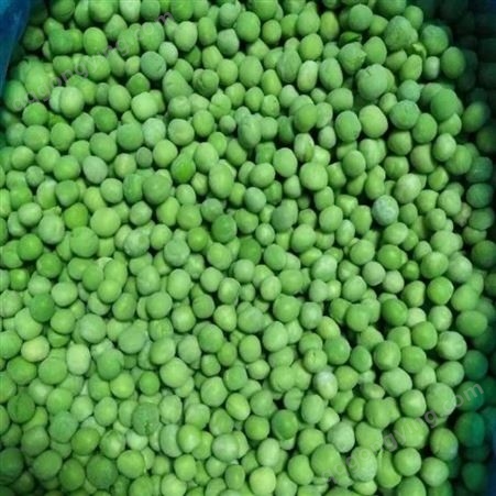 厂家直供 新加工出口级冷冻青豆粒 冷冻青豆 豌豆粒 速冻青豆