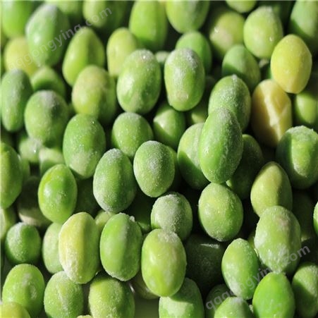天然绿色速冻青豆厂家生产青豆粒批发