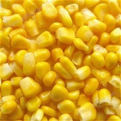 河北厂家大量出售新鲜玉米速冻甜玉米粒