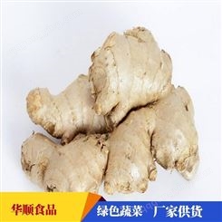 日本保鲜姜产地 根茎肉质 可用于蔬菜市场售卖 华顺食品