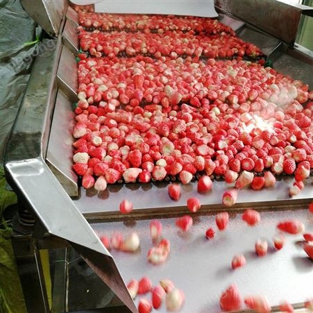 厂家货源冷冻草莓 速冻水果果粒果丁榨汁浆果 环保优质选材