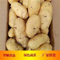 大马铃薯 采用清洗风干方式 基地供货 蔬菜厂家现货 华顺食品