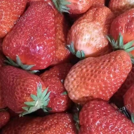 冷冻草莓 速冻水果果粒果丁榨汁浆果 量大从优